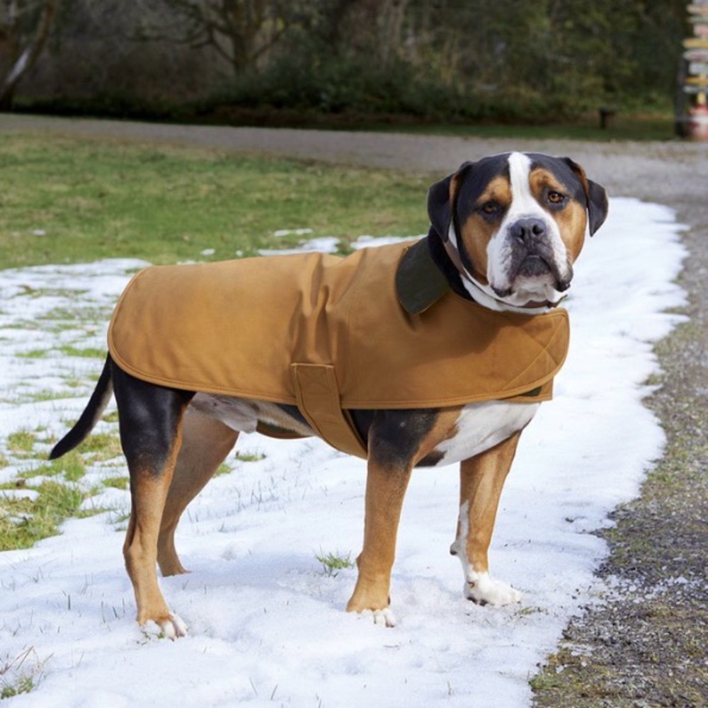 NWT Carhartt Brown Dog coat